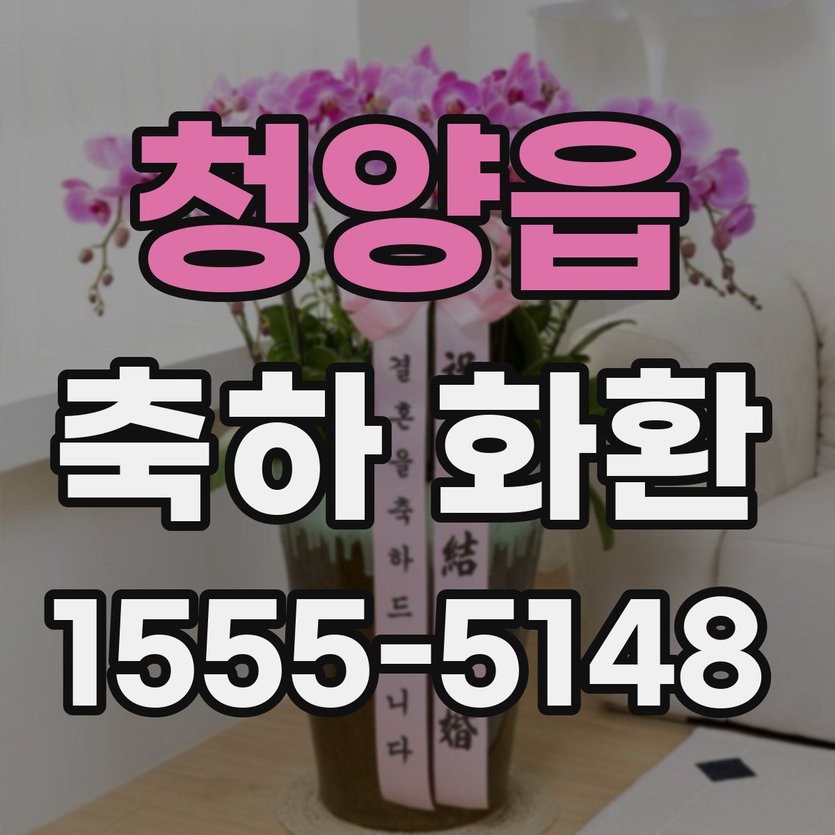 청양읍 축하 화환