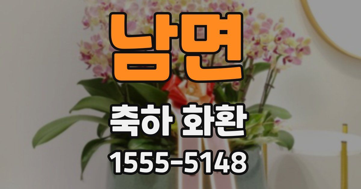 남면 축하 화환