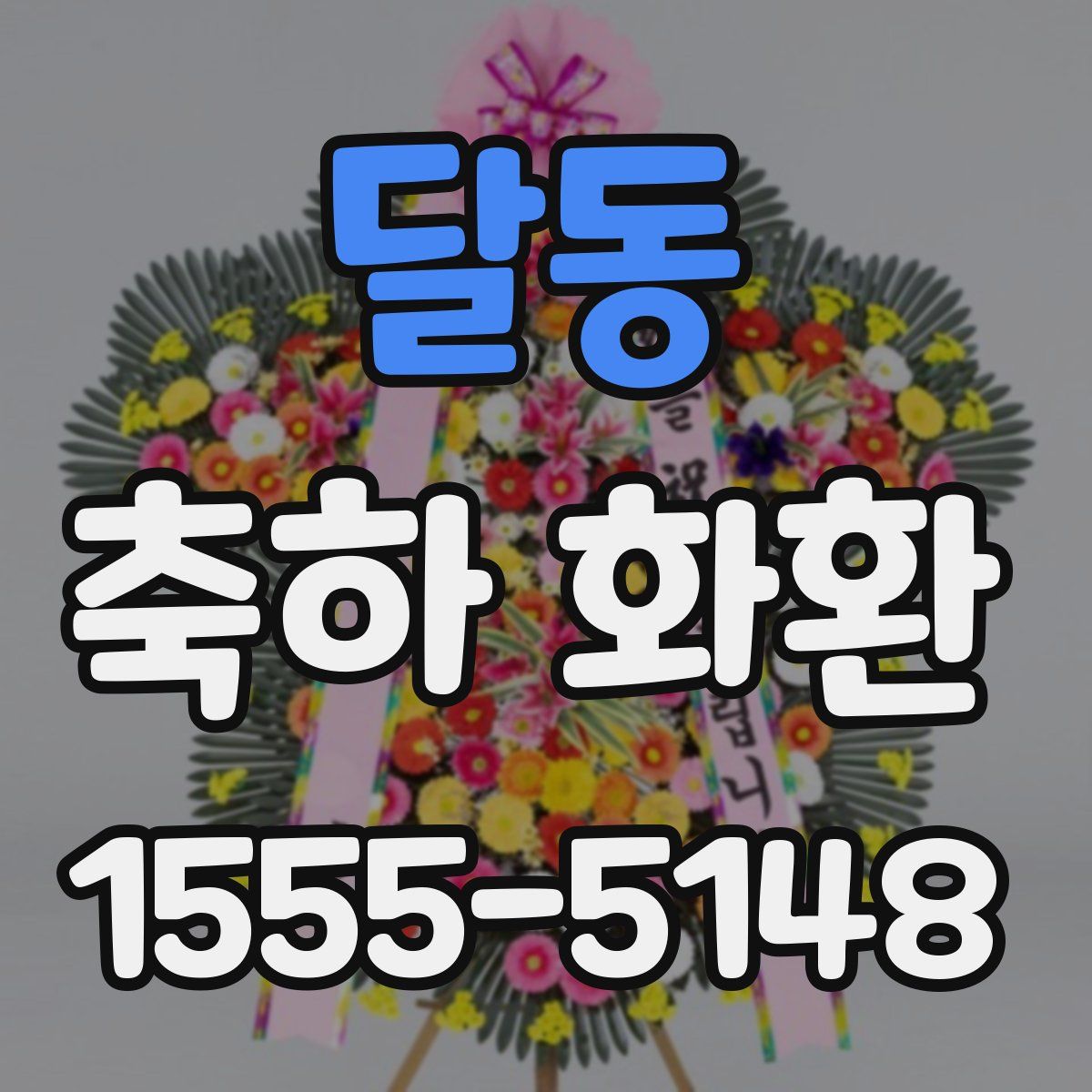 달동 축하 화환