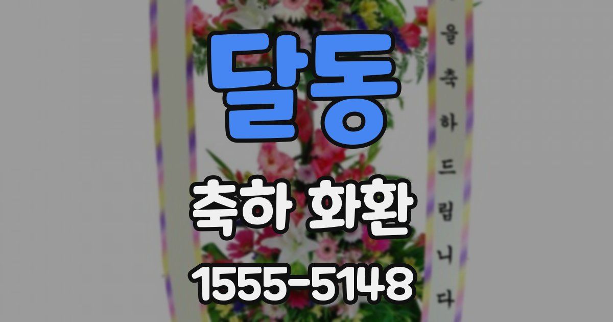 달동 축하 화환