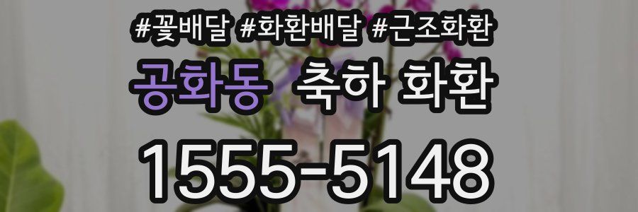 공화동 축하 화환