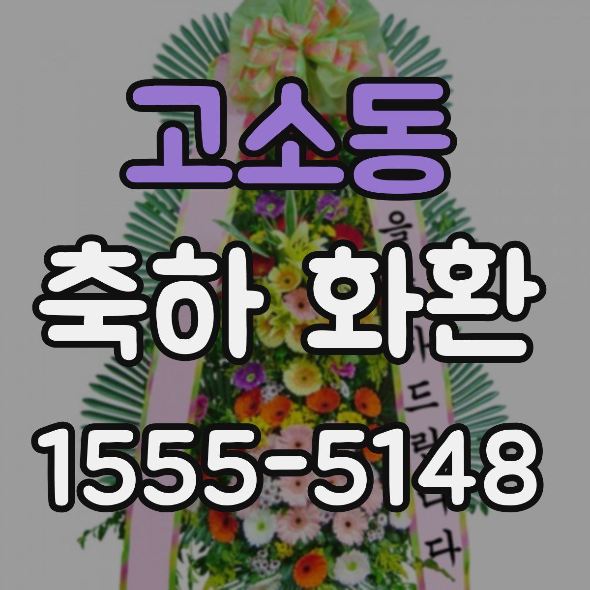 고소동 축하 화환