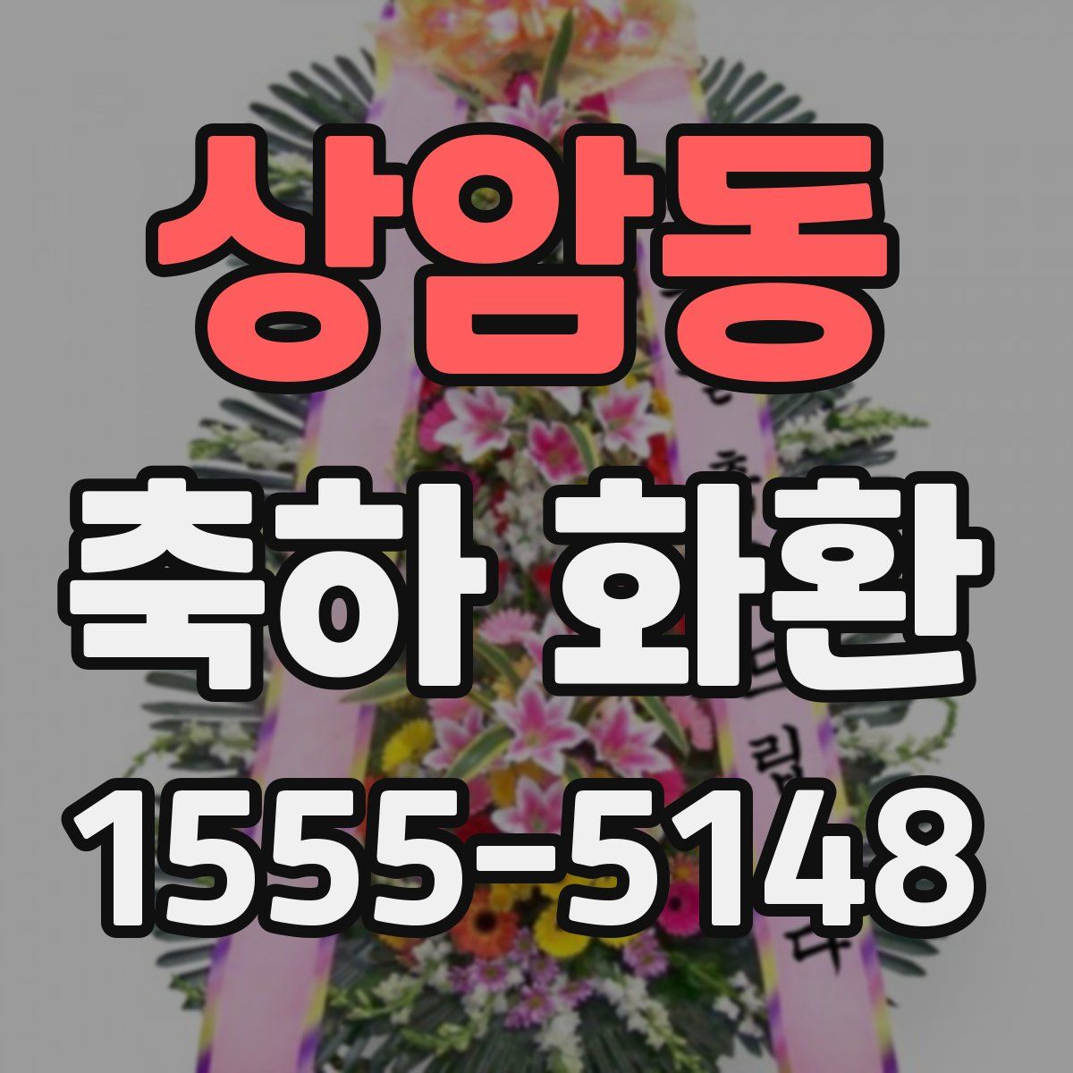 상암동 축하 화환