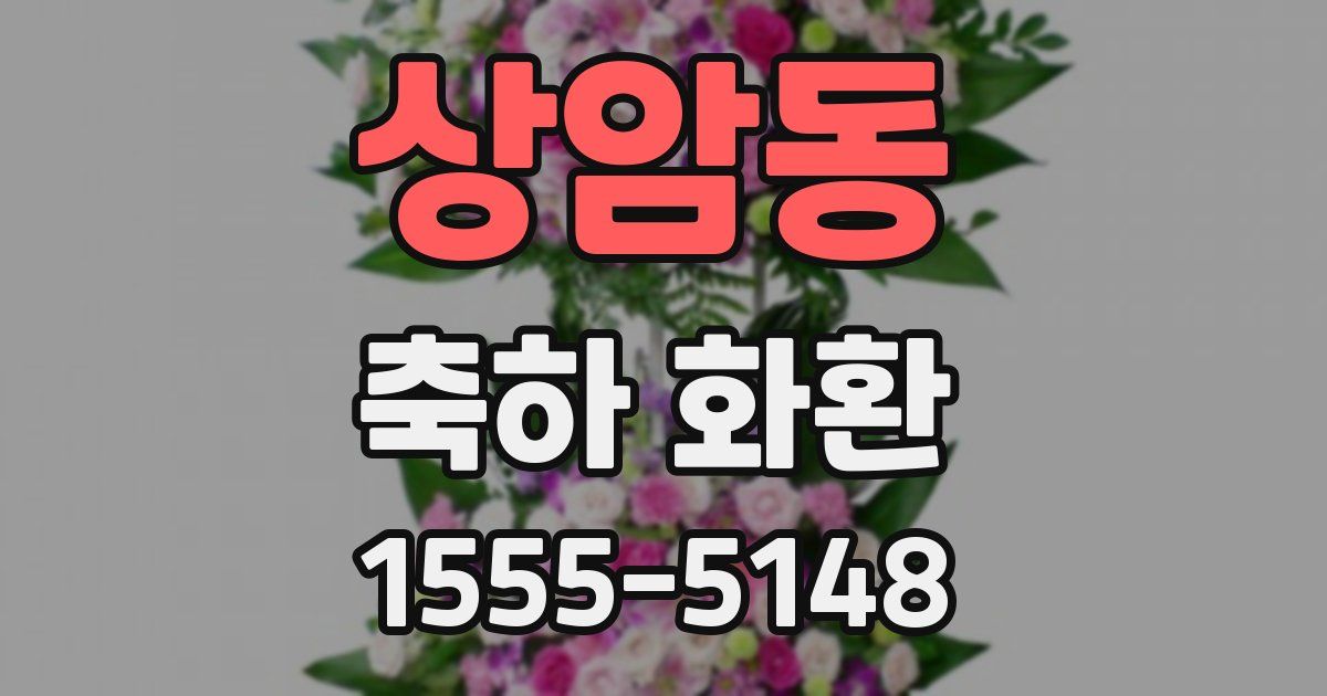 상암동 축하 화환