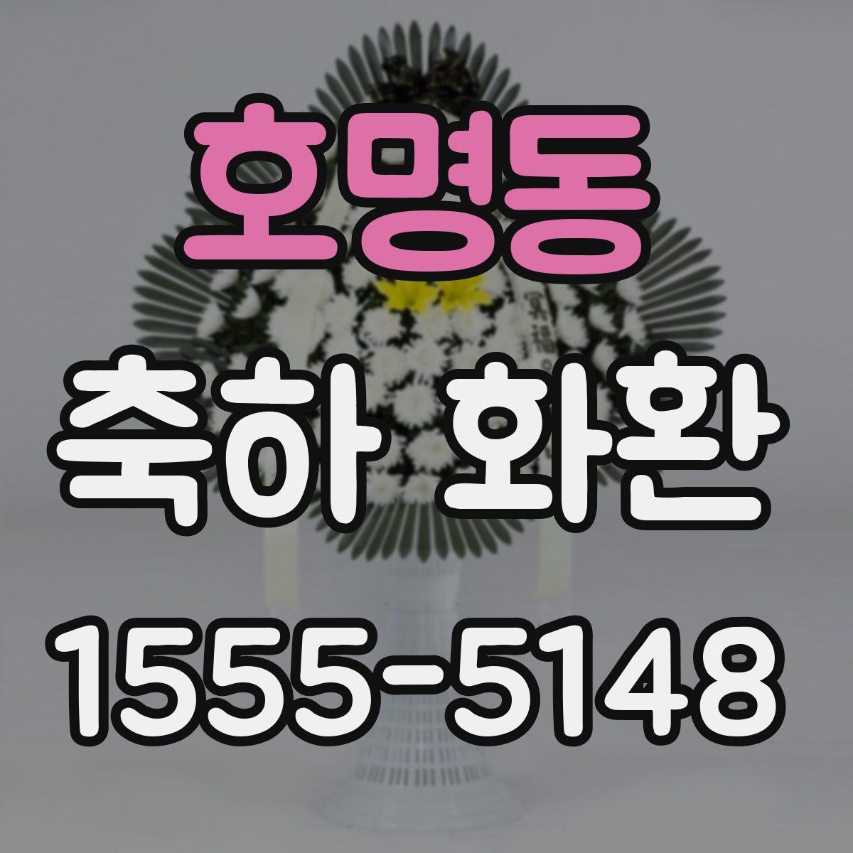 호명동 축하 화환
