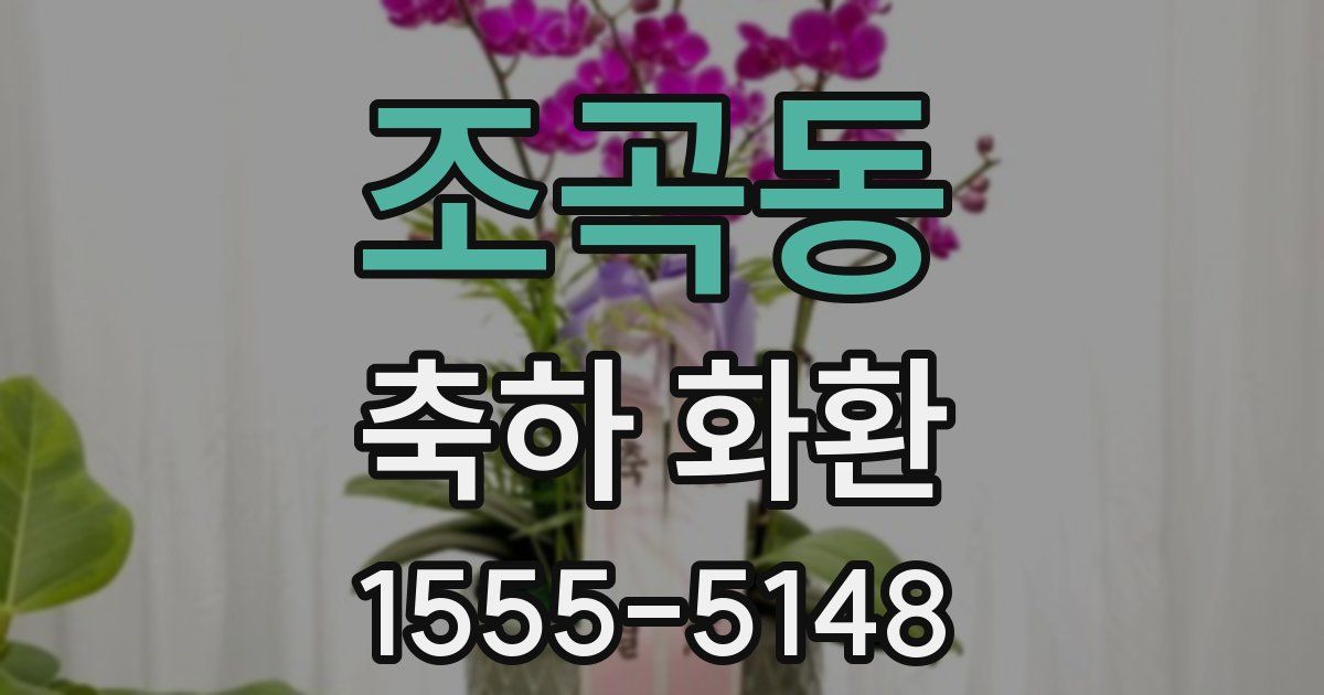 조곡동 축하 화환