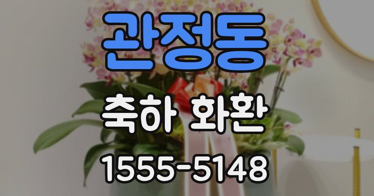 관정동 축하 화환