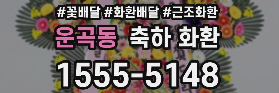 운곡동 축하 화환