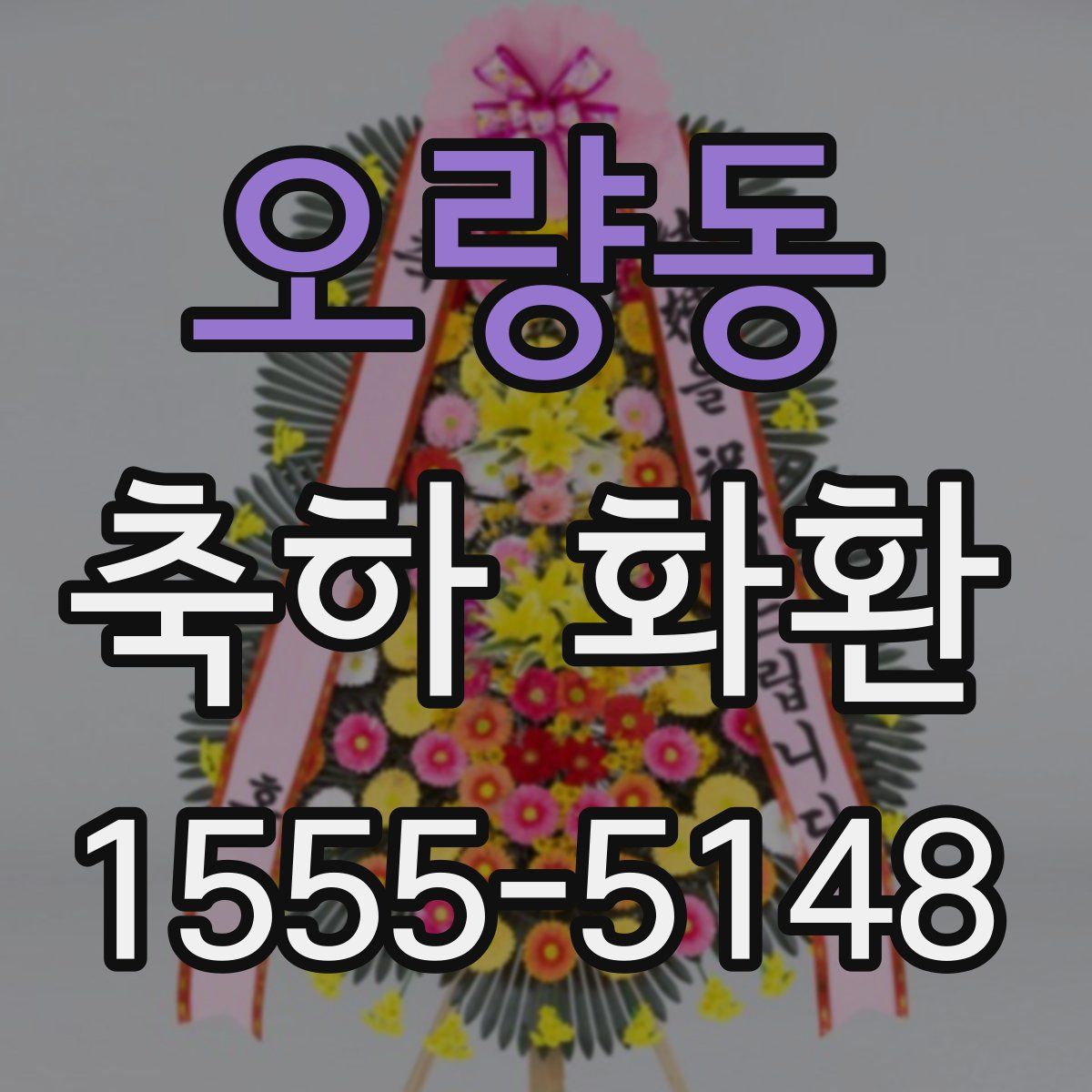오량동 축하 화환