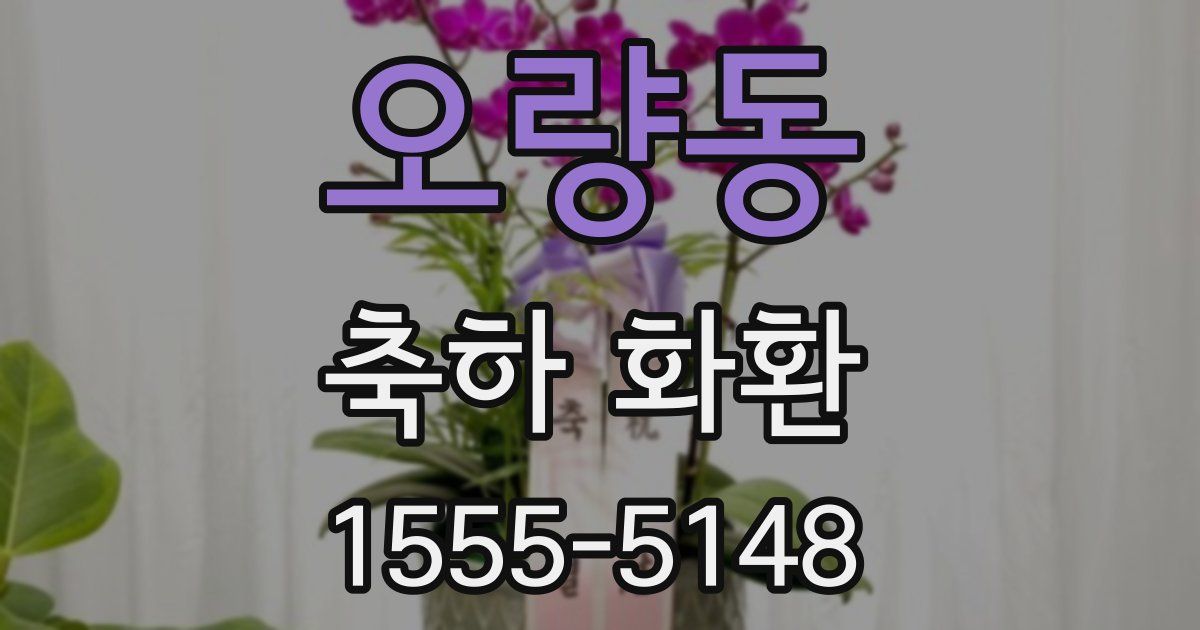 오량동 축하 화환