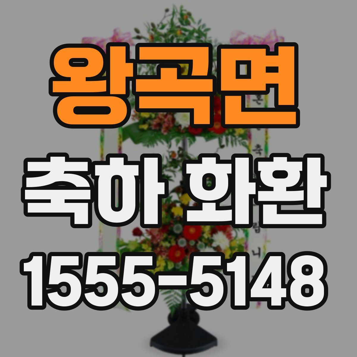 왕곡면 축하 화환