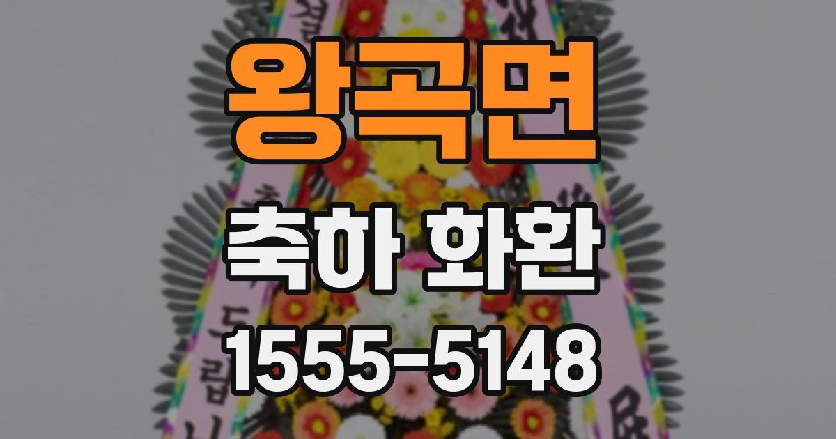 왕곡면 축하 화환