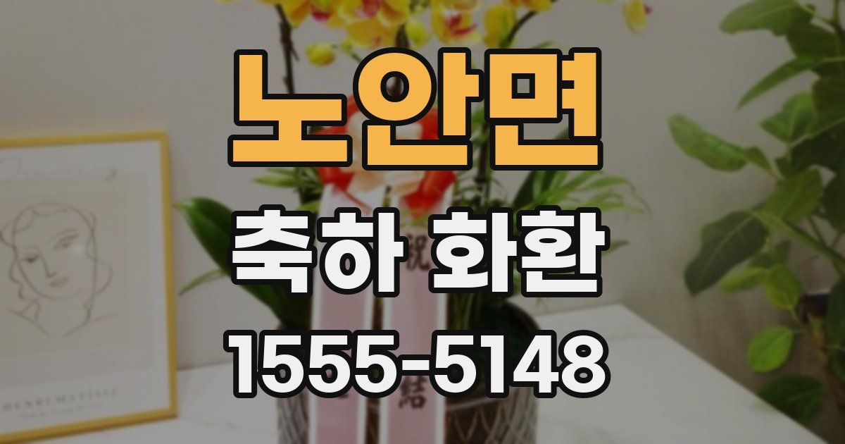 노안면 축하 화환