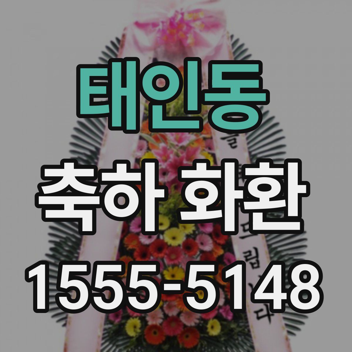 태인동 축하 화환