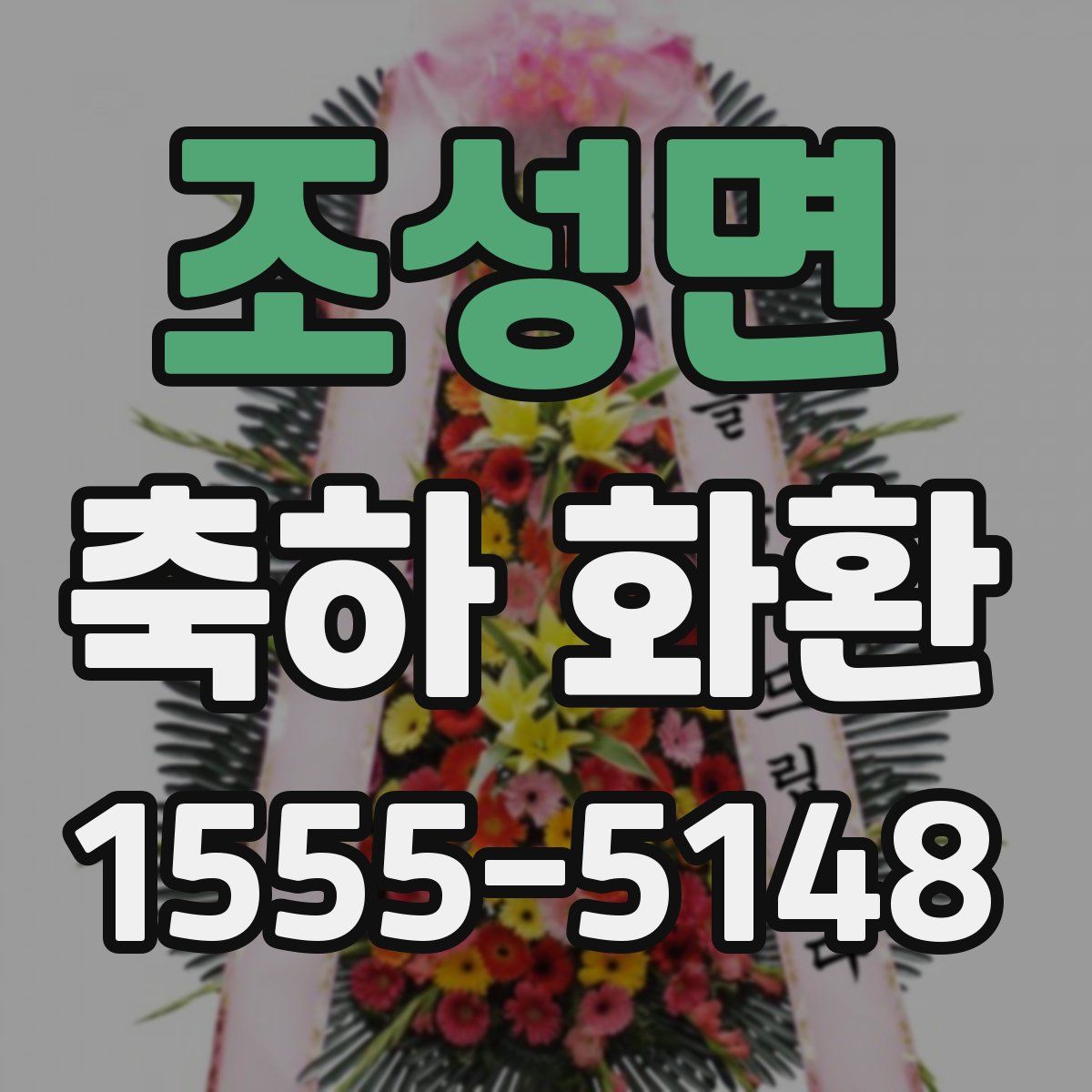 조성면 축하 화환