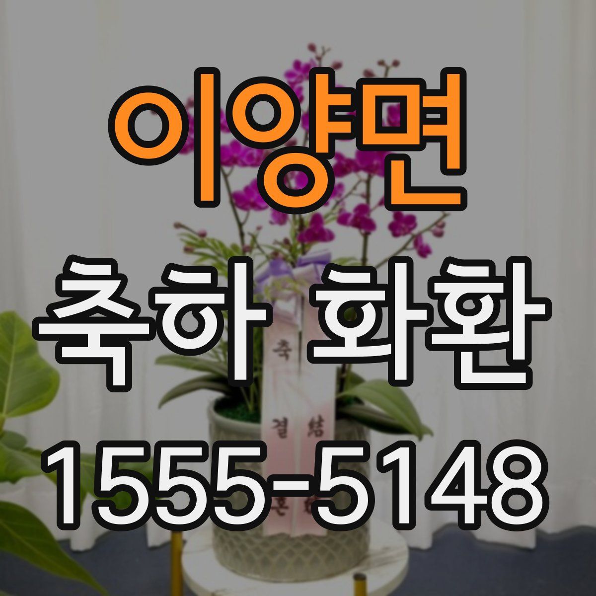 이양면 축하 화환