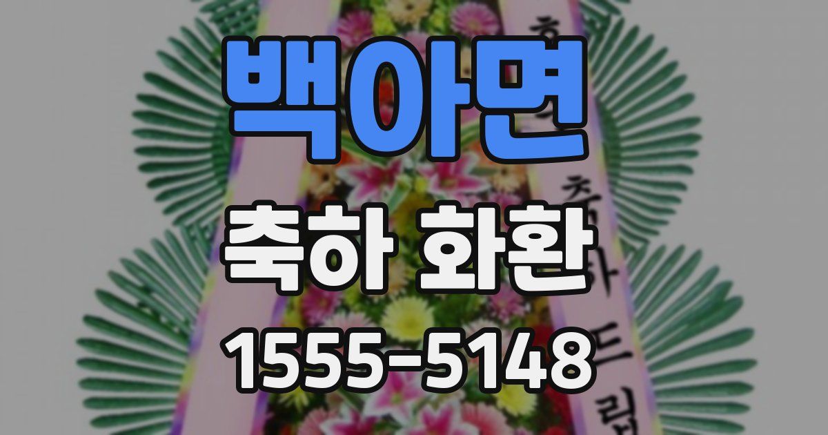백아면 축하 화환