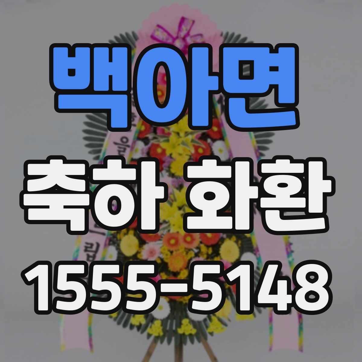 백아면 축하 화환