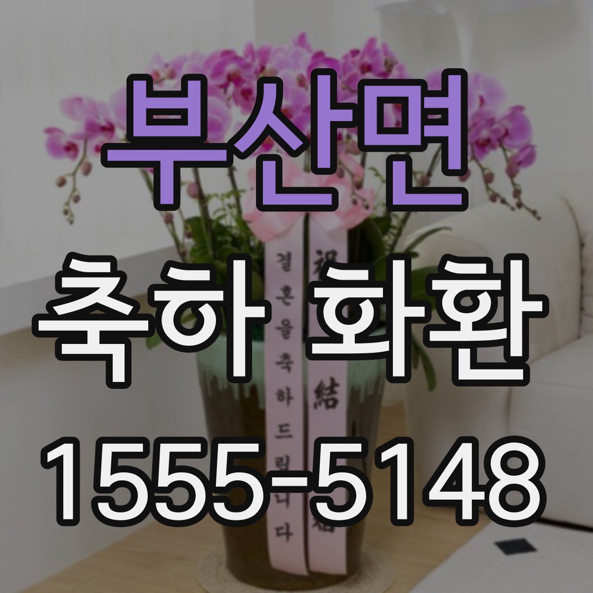 부산면 축하 화환