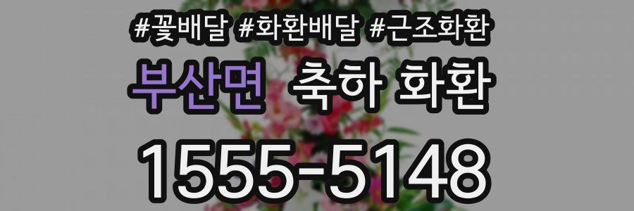 부산면 축하 화환