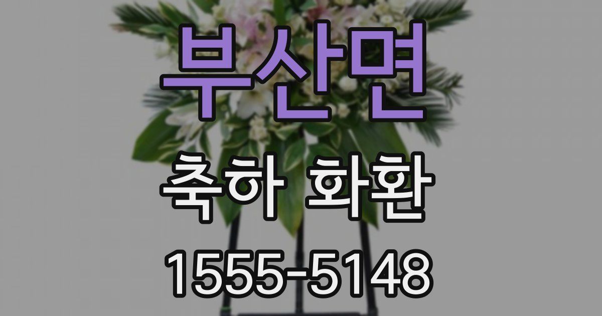 부산면 축하 화환