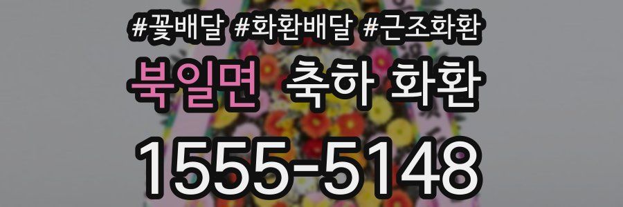 북일면 축하 화환