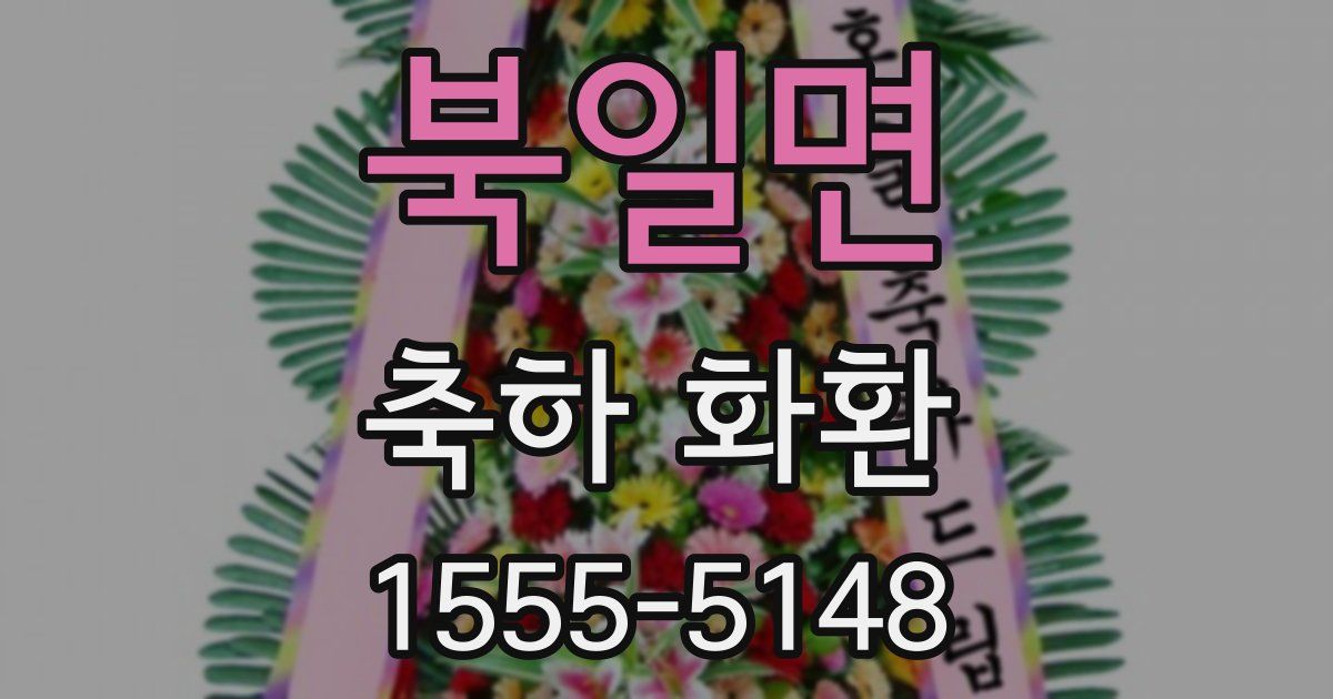 북일면 축하 화환