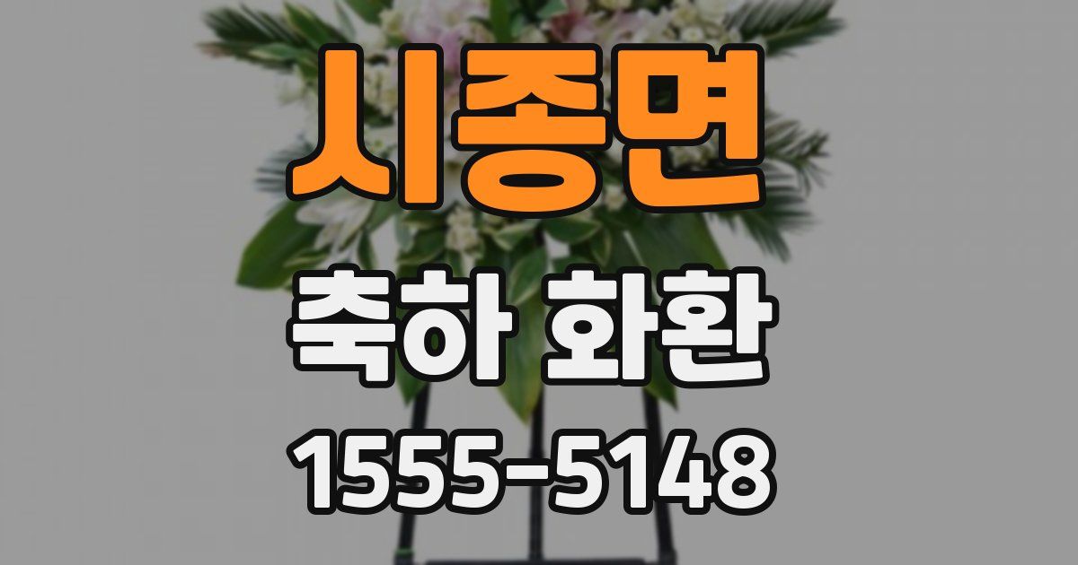 시종면 축하 화환