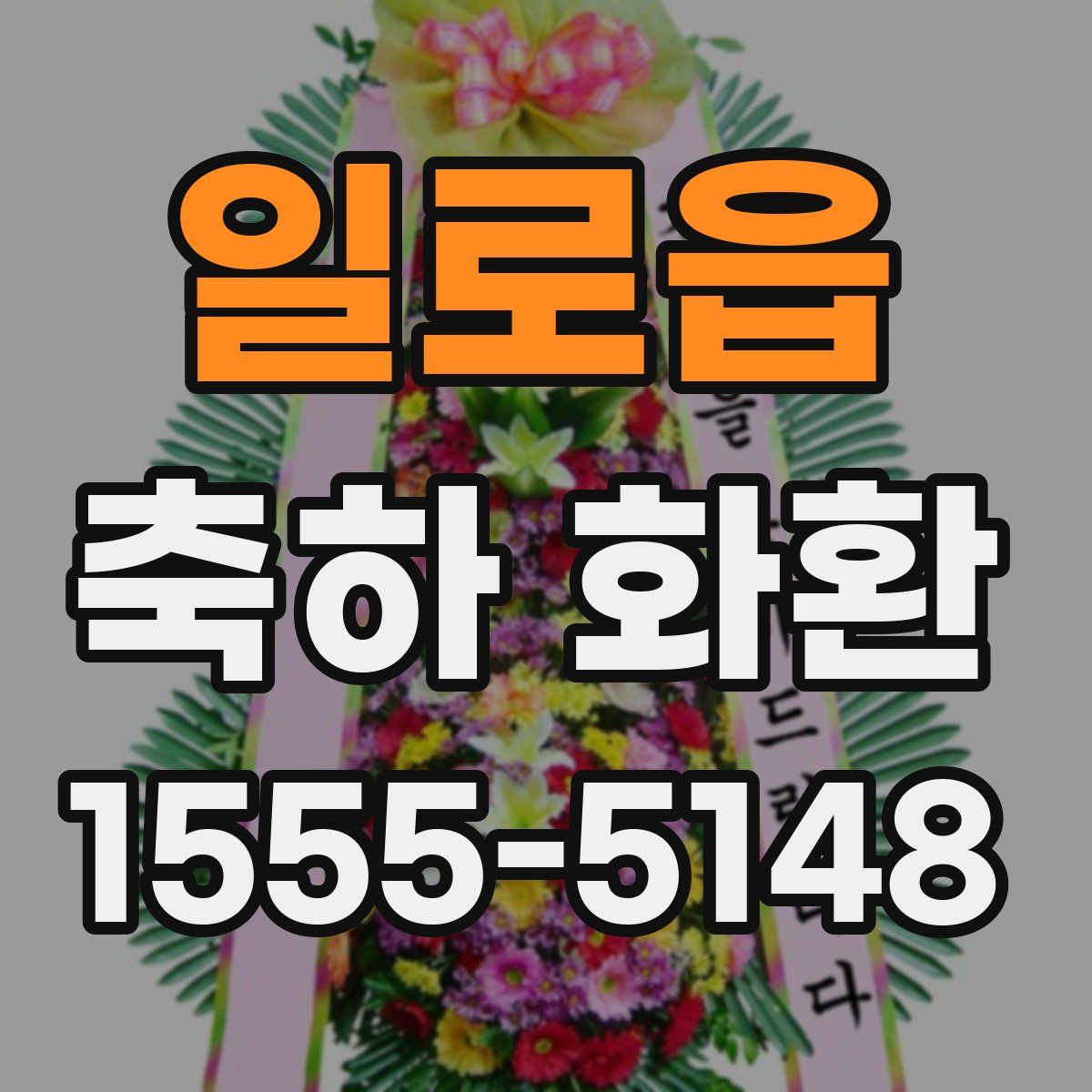 일로읍 축하 화환