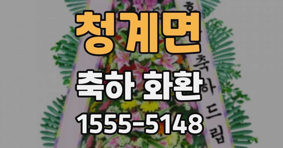 청계면 축하 화환