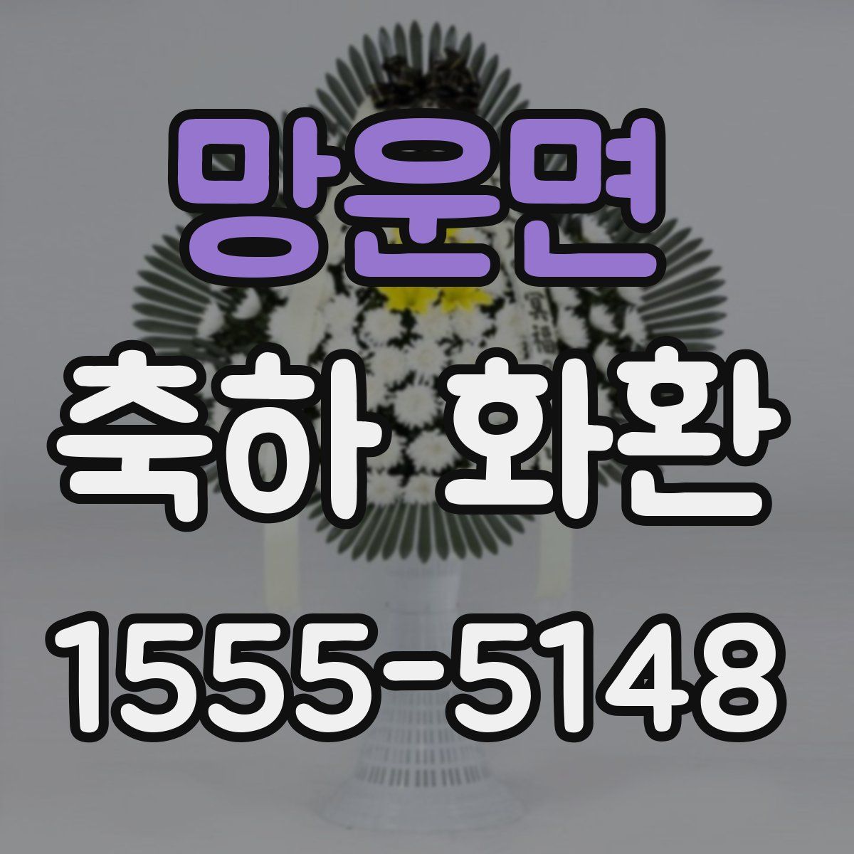 망운면 축하 화환