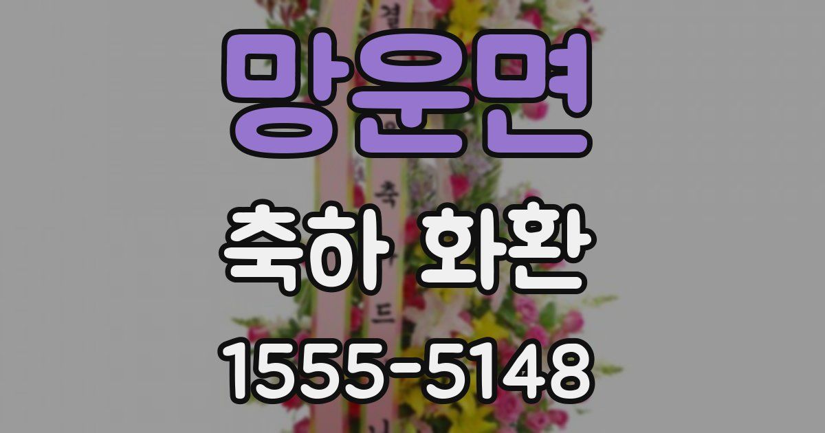 망운면 축하 화환