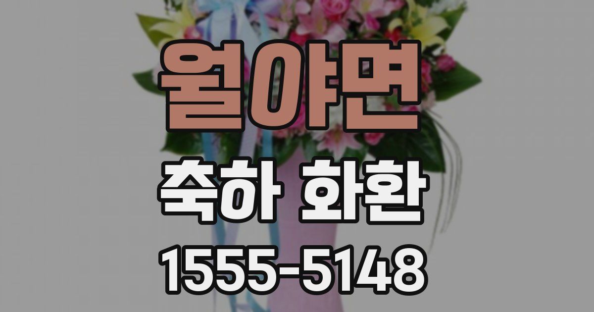 월야면 축하 화환