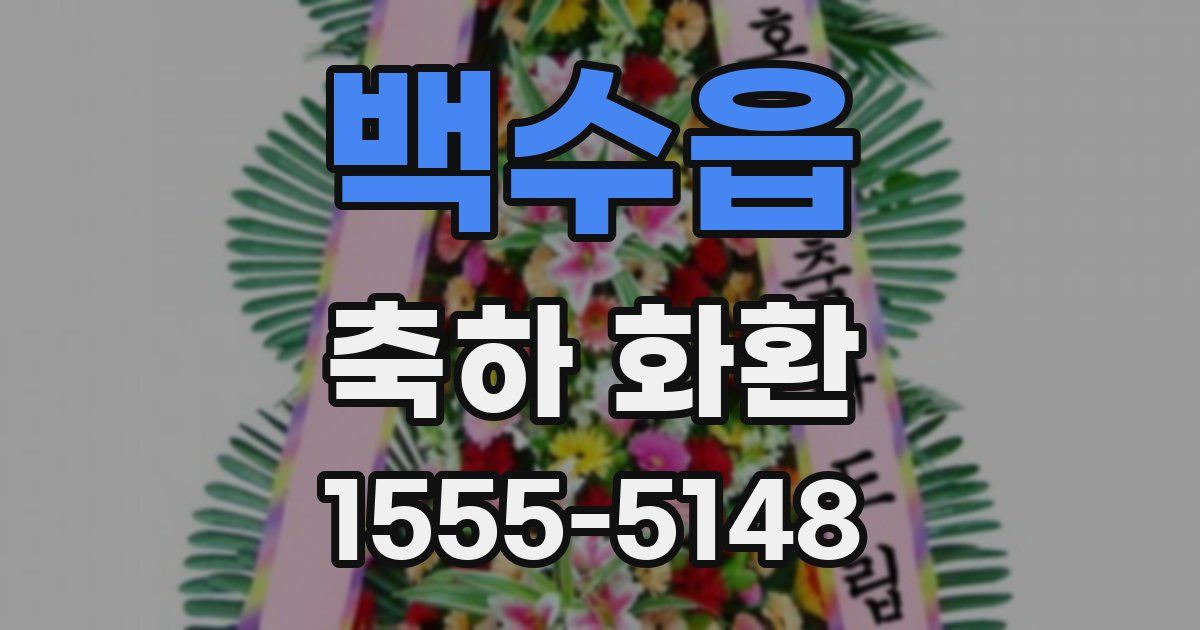 백수읍 축하 화환