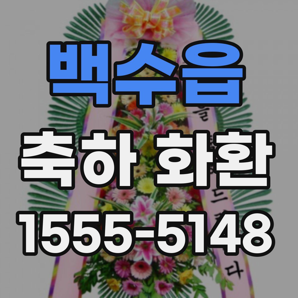 백수읍 축하 화환