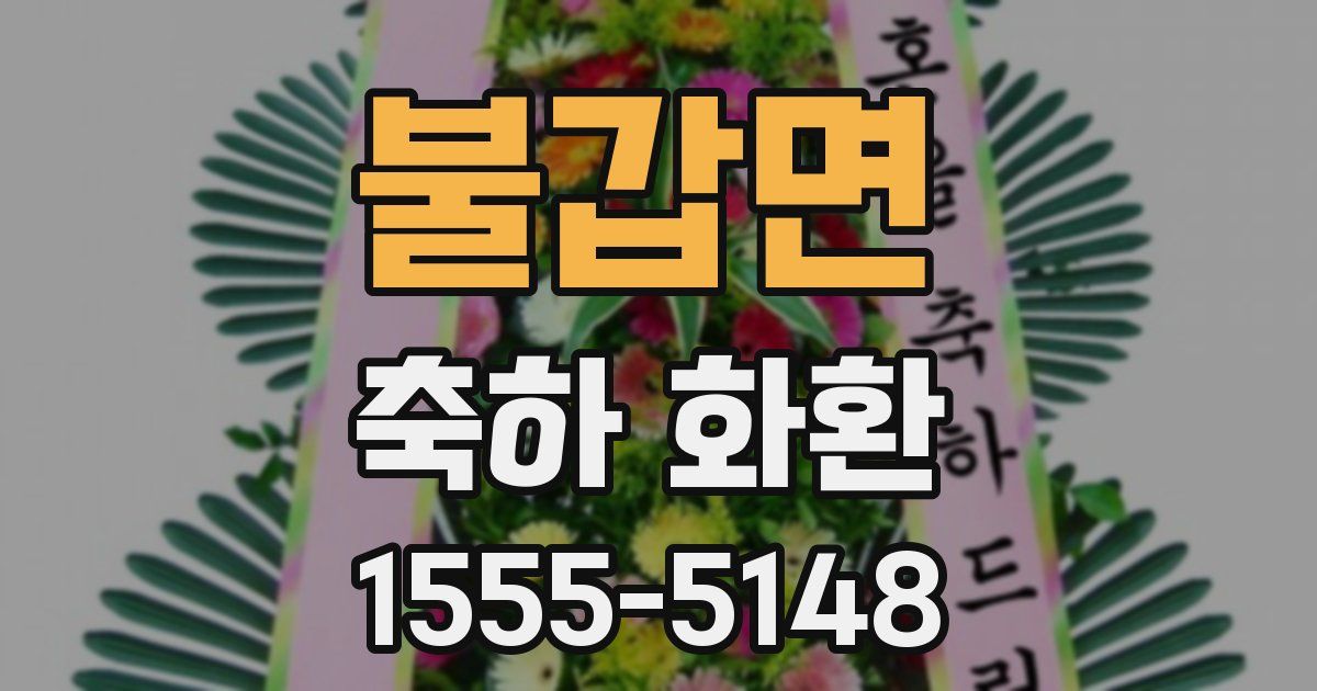 불갑면 축하 화환