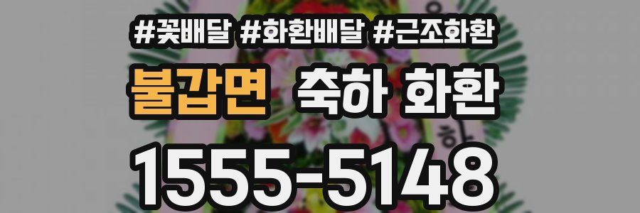 불갑면 축하 화환