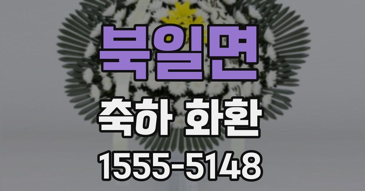 북일면 축하 화환