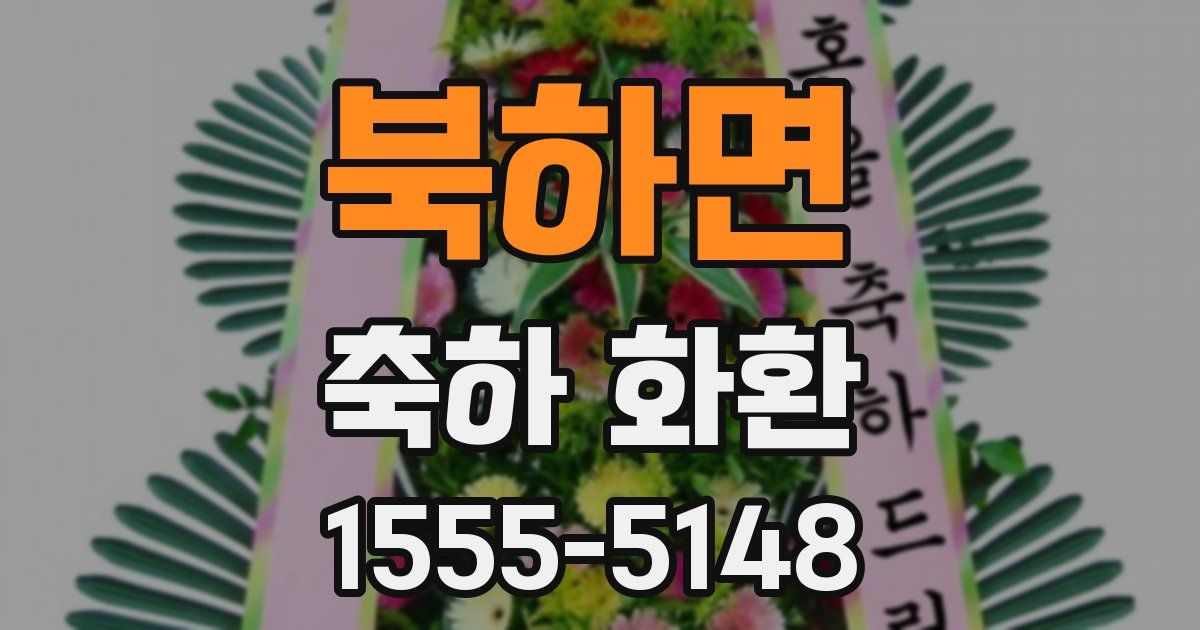 북하면 축하 화환