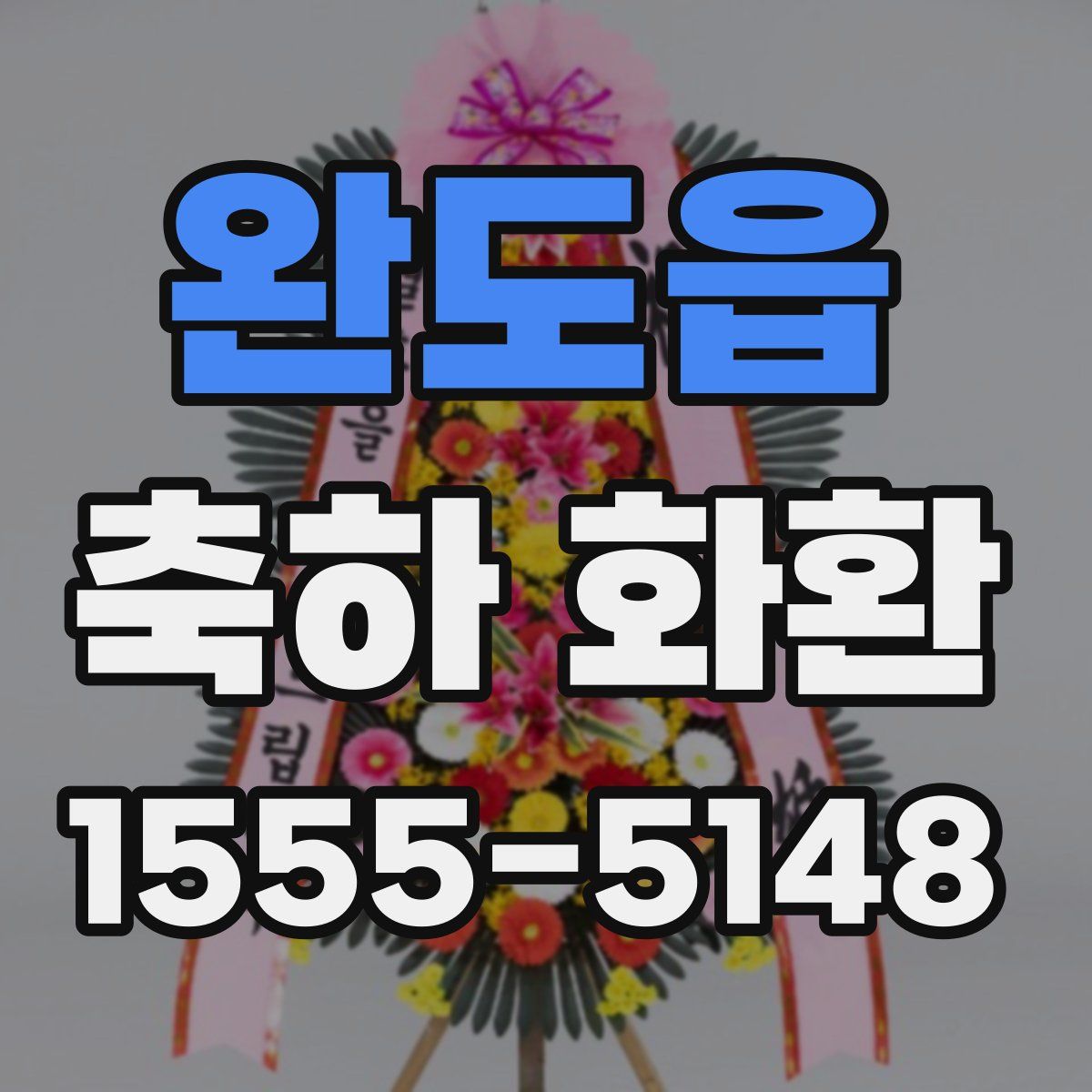 완도읍 축하 화환