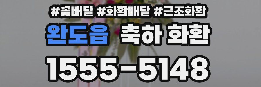 완도읍 축하 화환
