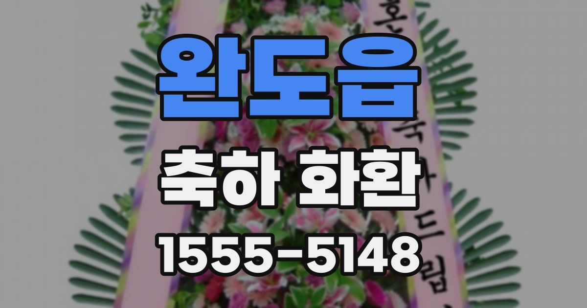 완도읍 축하 화환