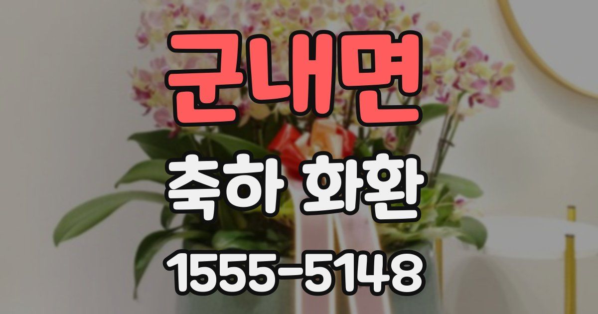 군내면 축하 화환