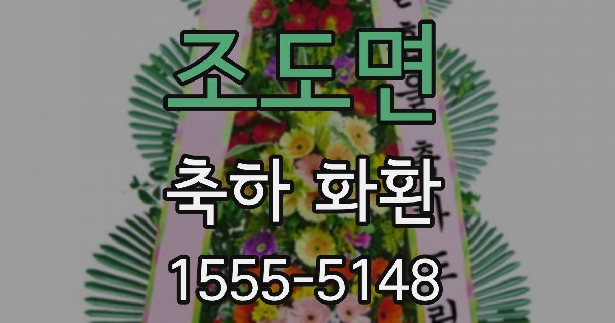 조도면 축하 화환
