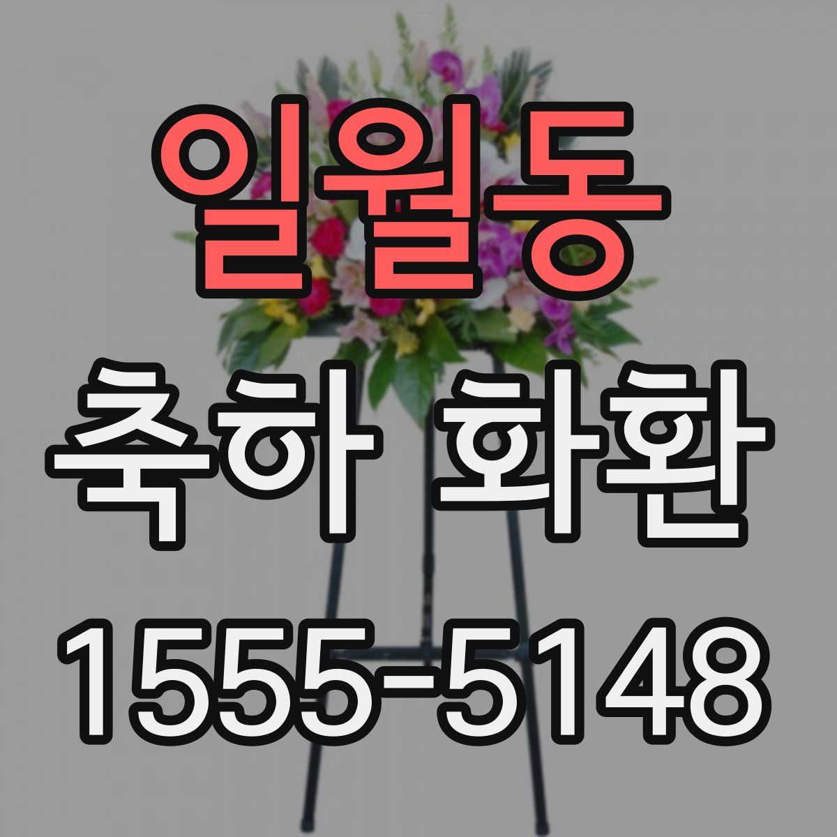 일월동 축하 화환