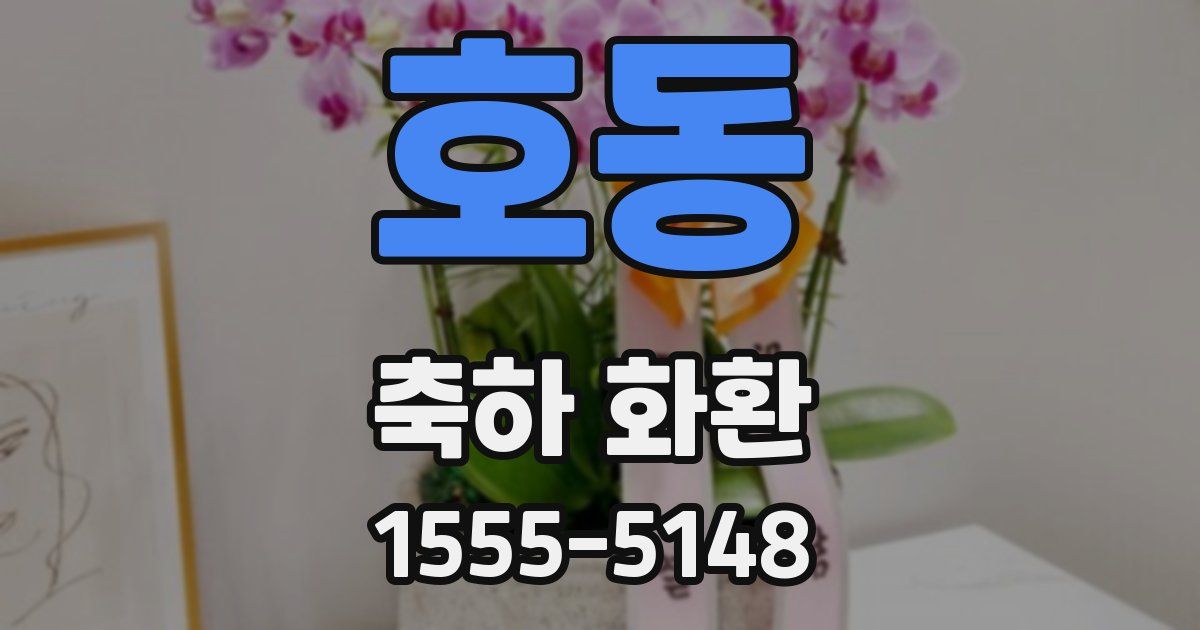 호동 축하 화환