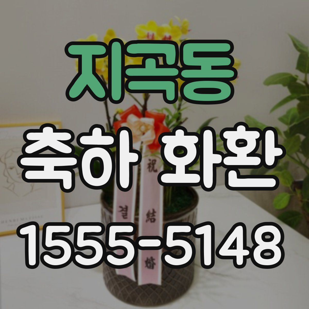 지곡동 축하 화환
