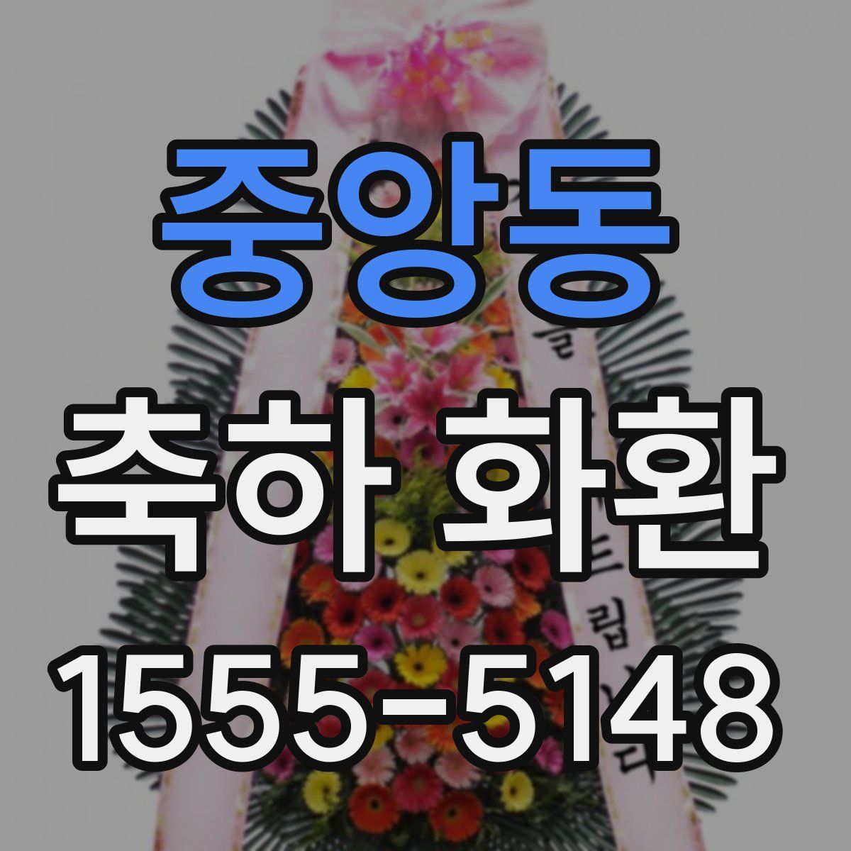 중앙동 축하 화환