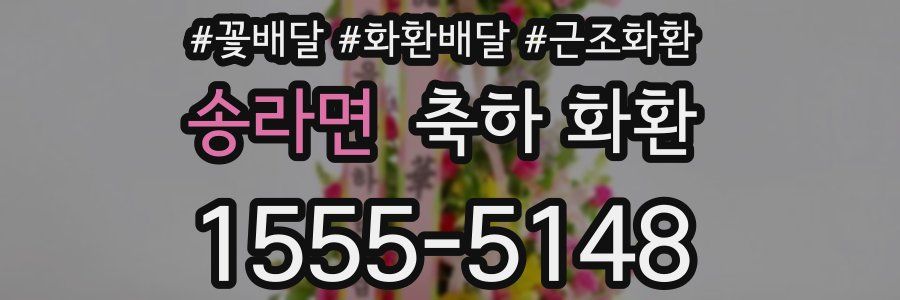 송라면 축하 화환