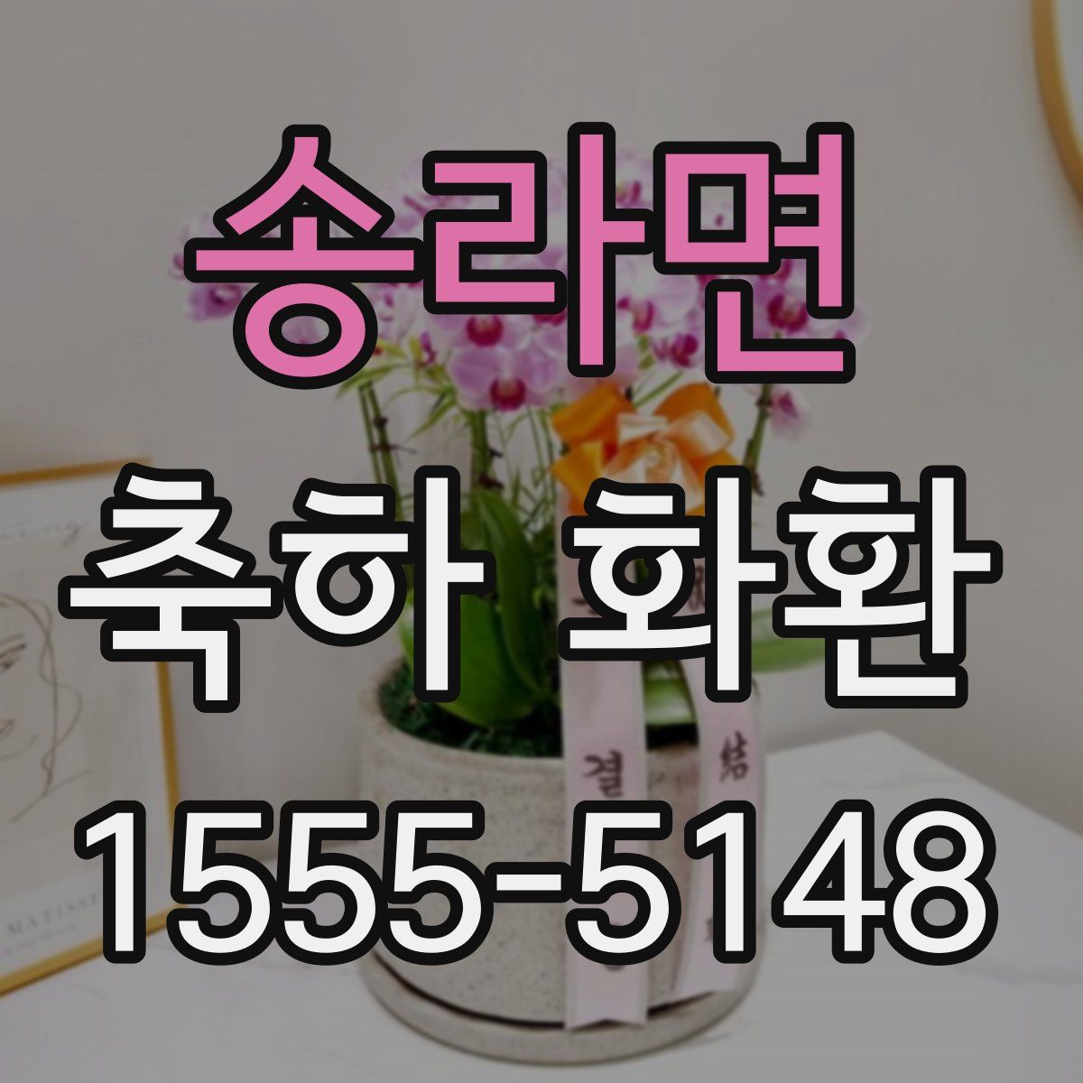 송라면 축하 화환